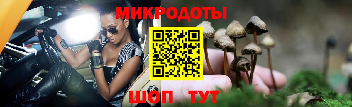 Холмск  Галлюциногенные грибы мухоморы  Вход с VPN 